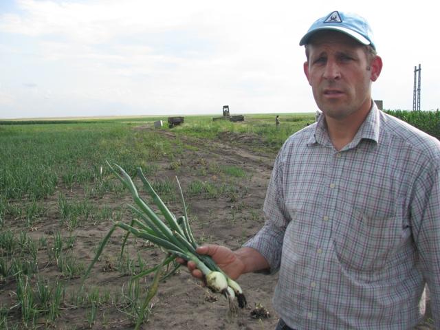 Povestea olandezului căruia îi râd ochii de la ceapa românească 486519