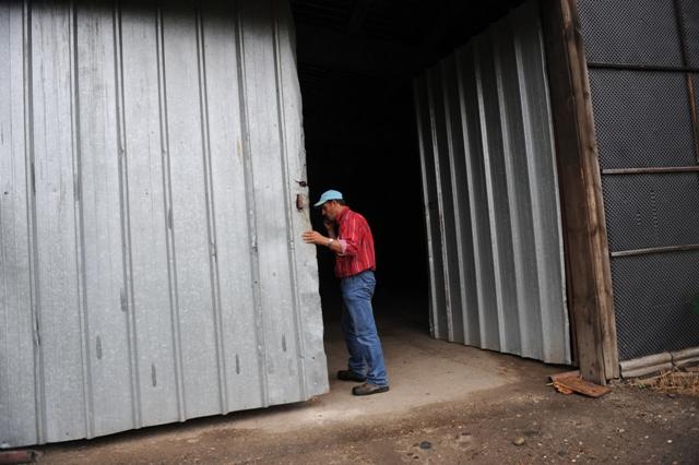 Povestea olandezului căruia îi râd ochii de la ceapa românească 486522