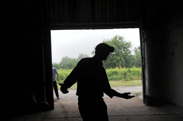 Povestea olandezului căruia îi râd ochii de la ceapa românească 486523