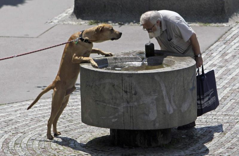Saptămâna în imagini 9-15 iulie - Căldură mare, monşer! 593110