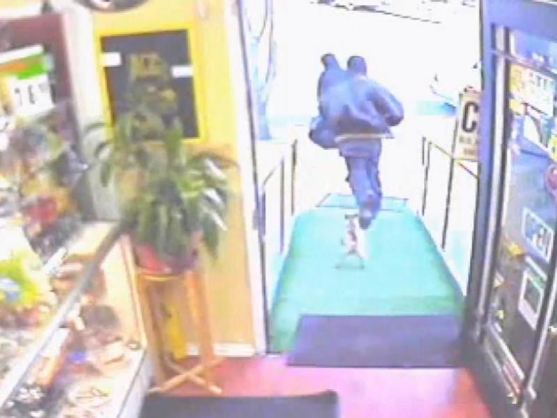 Un chihuhua "fioros" pune pe fugă doi hoţi (Video)