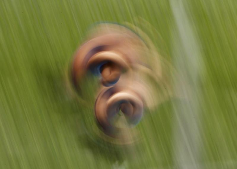 Saptămâna în imagini 16-22 iulie - Canicula a ucis 22 de americani 698192