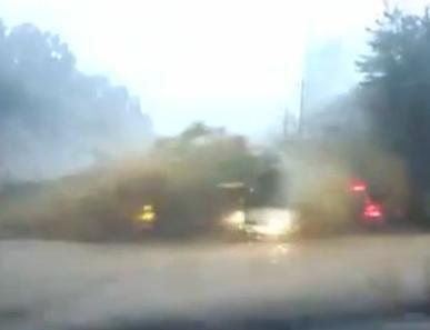 Imagini dramatice în Coreea de Sud! O avalanşă spulberă maşinile de pe şosea!