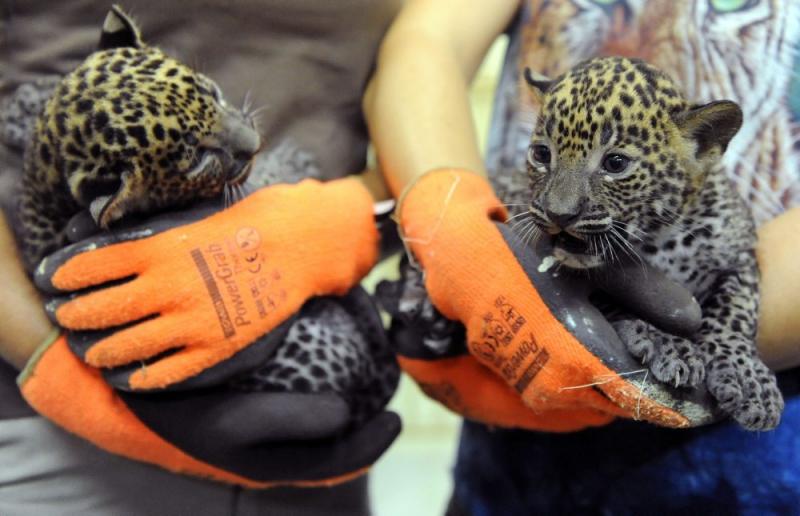 Săptămâna în imagini 23-29 iulie - Mapamondul în vacanţă 807761