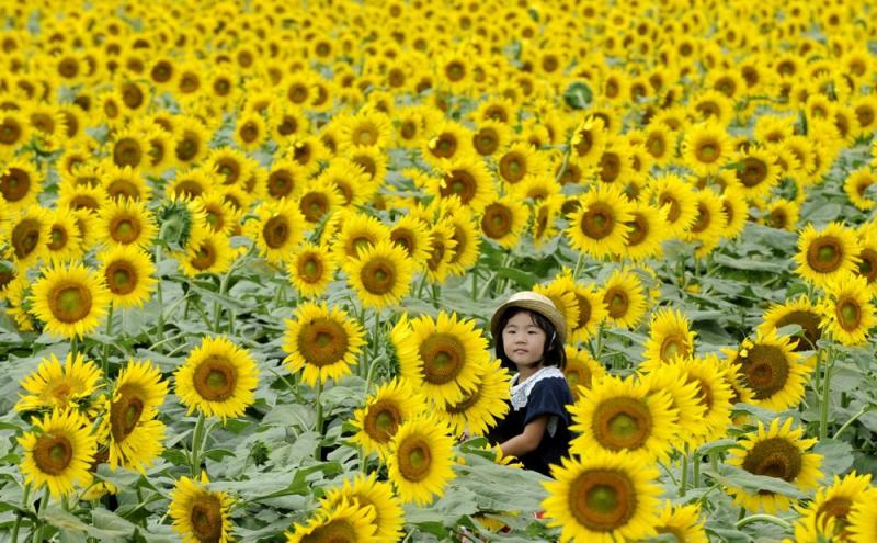 Săptămâna în imagini 23-29 iulie - Mapamondul în vacanţă 807768