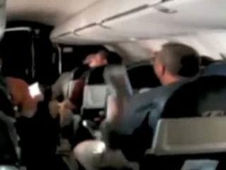 O pasăre a provocat panică printre pasagerii unui avion american – video