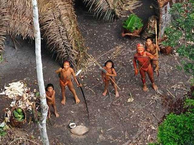 Tribul recent descoperit în jungla amazoniană, probabil exterminat de traficanţii de droguri