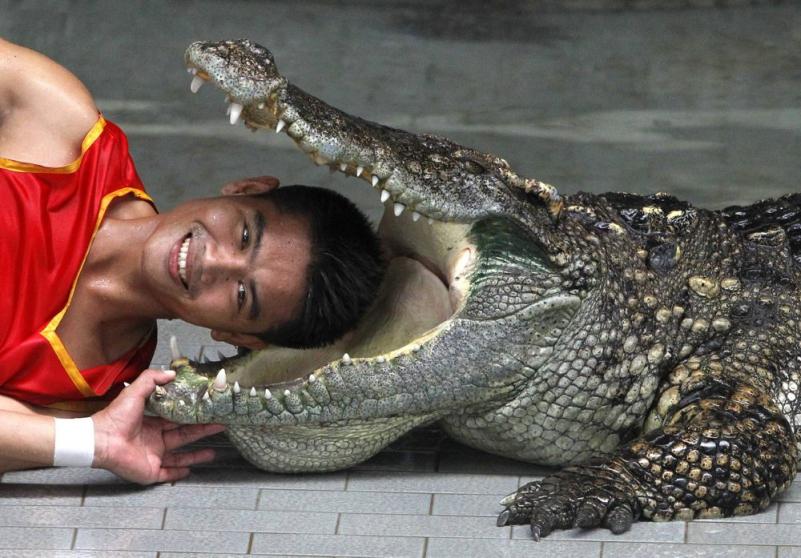 Săptămâna în imagini 13-19 august - God yes, Church no 1195063