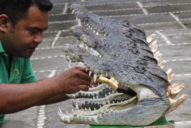 Săptămâna în imagini 13-19 august - God yes, Church no 1195068