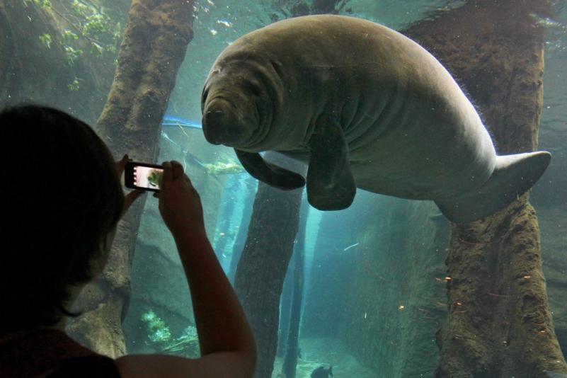 Săptămâna în imagini 13-19 august - God yes, Church no 1195072