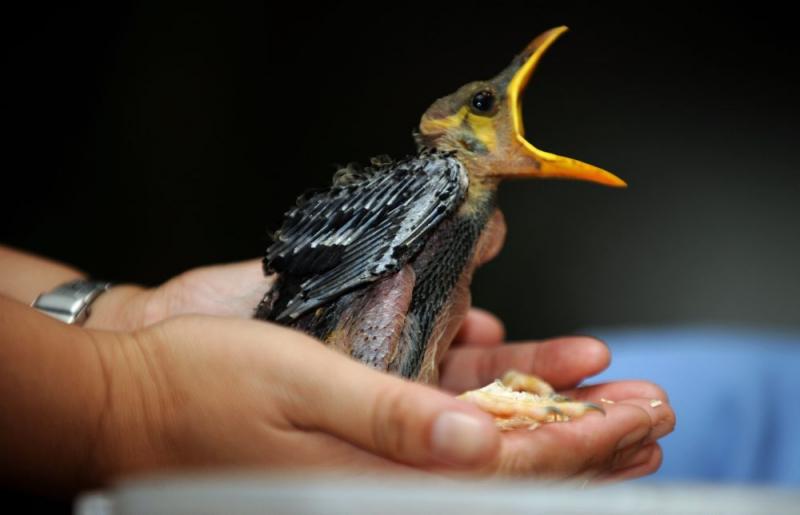 Săptămâna în imagini 13-19 august - God yes, Church no 1195083