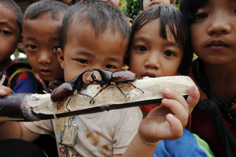 Săptămâna în imagini 20-26 august - Dictatorul a fugit! 1284310