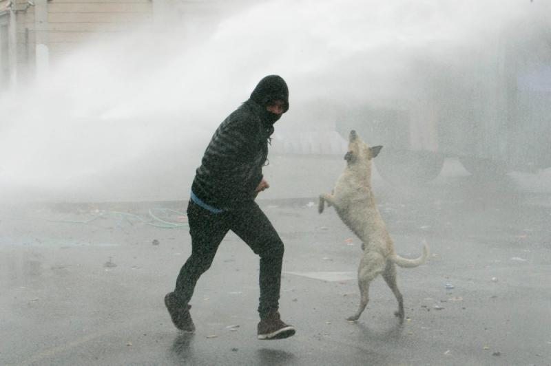 Săptămâna în imagini 20-26 august - Dictatorul a fugit! 1284318