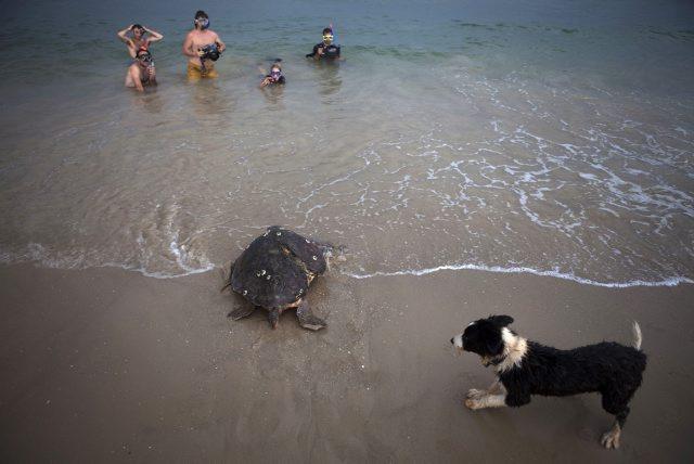 31 august 2011, imaginile zilei 1309389