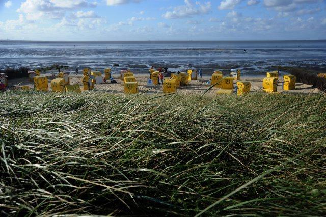 31 august 2011, imaginile zilei 1309392