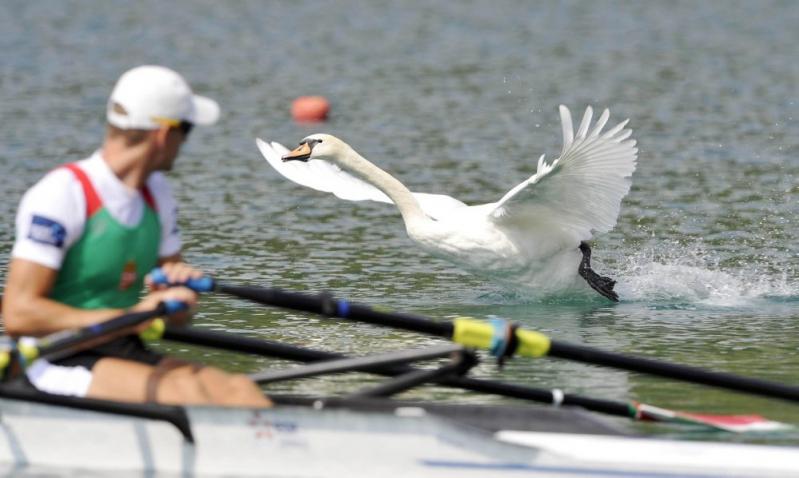 Săptămâna în imagini 27 august - 2 septembrie - Ramadanul s-a încheiat 1357851