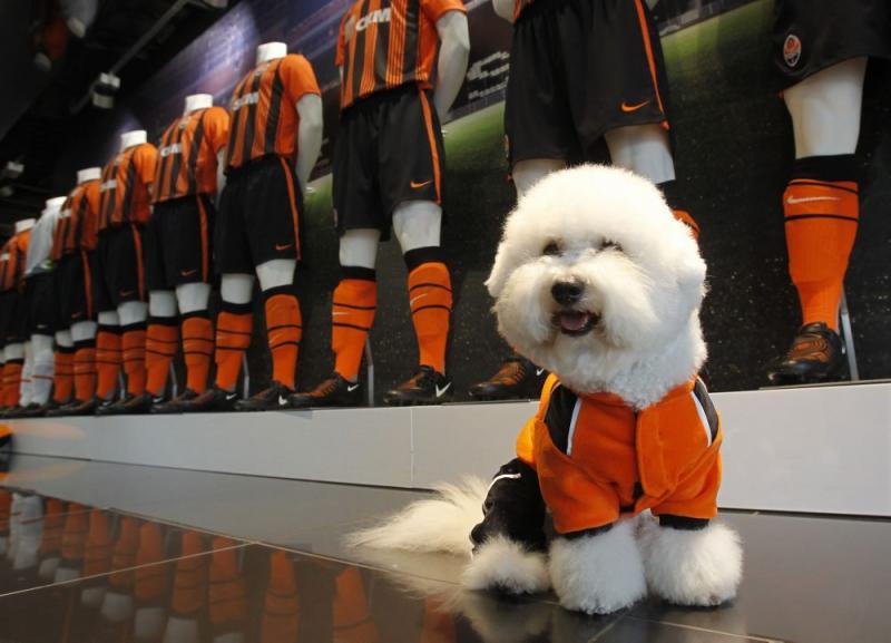 Săptămâna în imagini 27 august - 2 septembrie - Ramadanul s-a încheiat 1357855