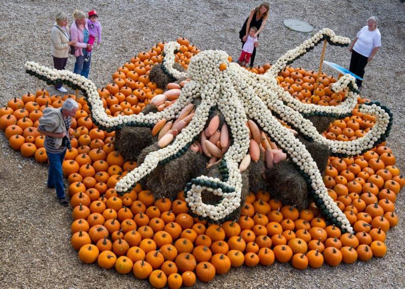 Săptămâna în imagini 27 august - 2 septembrie - Ramadanul s-a încheiat 1357862