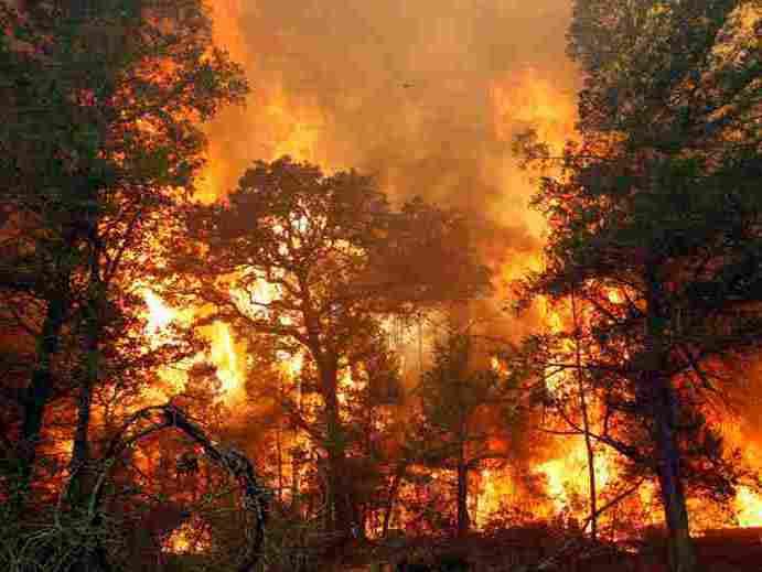 Sute de case arse şi doi morţi într-un incendiu din Texas