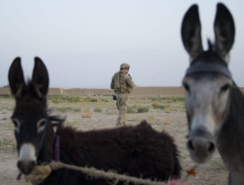 Săptămâna în imagini 3-9 septembrie: Ziua care a îndoliat America 1463835