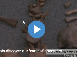 Au fost descoperite fosile ale celei mai vechi specii din rasa umană: Australopithecus Sediba (VIDEO)