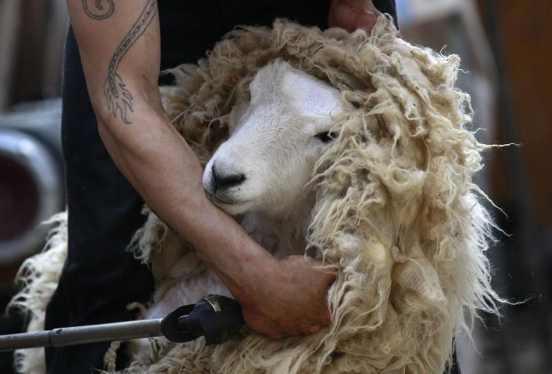 Săptămâna în imagini 17-23 septembrie: Suveranul Pontif a revenit în Vaterland 1705407