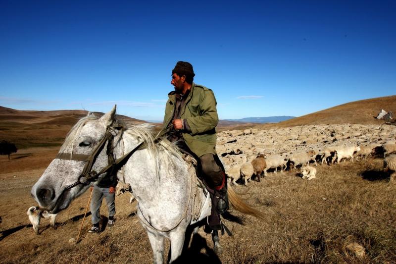 5 octombrie 2011. Imaginile zilei 1845664