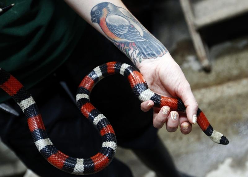 Ziua Mondială a Animalelor 1845034