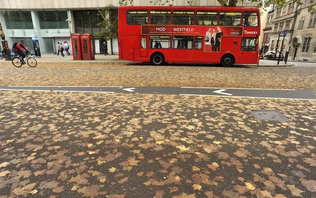 6 octombrie 2011. Imaginile zilei 1860942