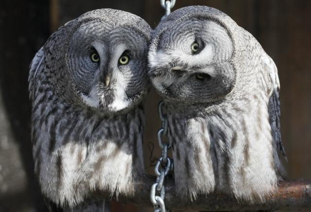 6 octombrie 2011. Imaginile zilei 1860943