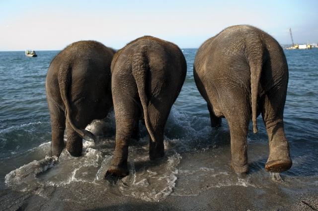 6 octombrie 2011. Imaginile zilei 1860952