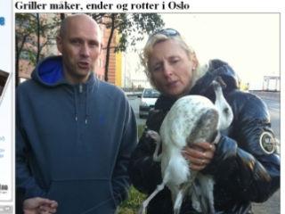 Presa norvegiană îi face pe românii fără adăpost din Oslo mâncători de şobolani şi câini la grătar!