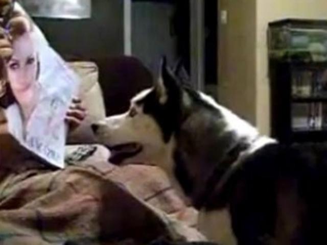 Julia Roberts, pretty woman, sperietoare de câini (VIDEO)