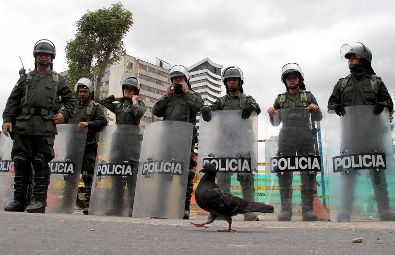 8 octombrie 2011. Imaginile zilei 1913349