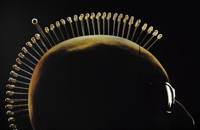 11 octombrie 2011. Imaginile zilei 1938217