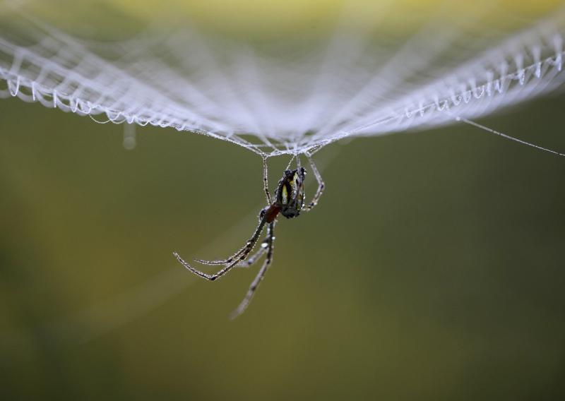 11 octombrie 2011. Imaginile zilei 1938220