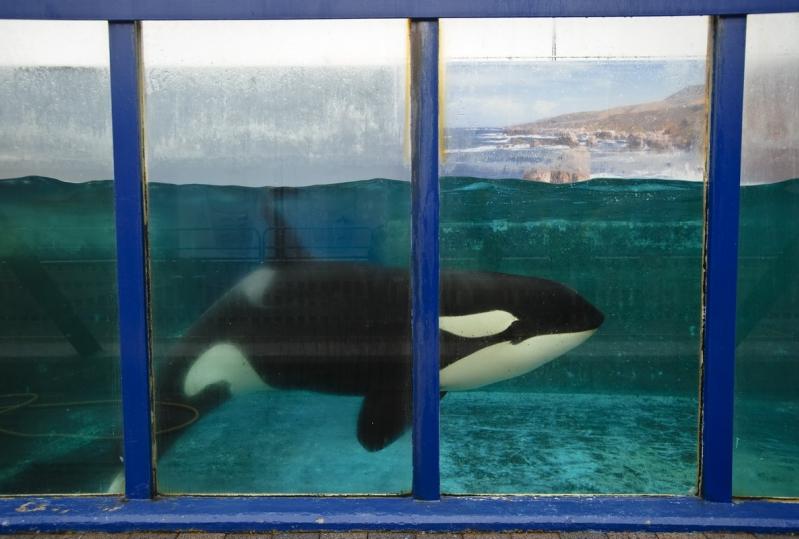 12 octombrie 2011. Imaginile zilei 1949426