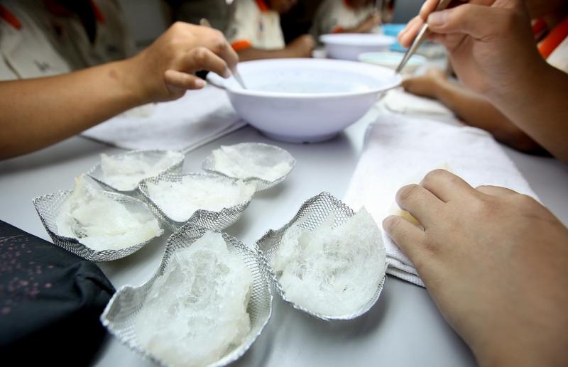 13 octombrie 2011. Imaginile zilei 1960057