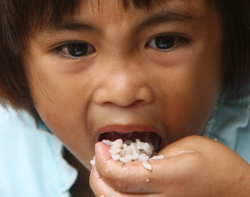 16 octombrie 2011. Imaginile zilei 2024223