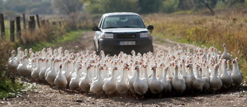 18 octombrie 2011. Imaginile zilei 2044278