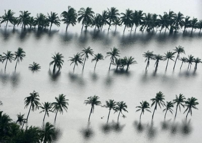 18 octombrie 2011. Imaginile zilei 2044279