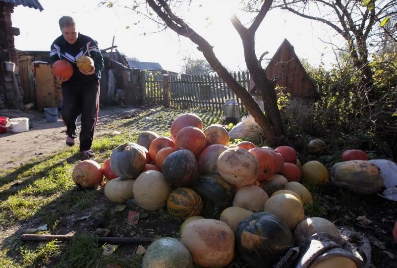 18 octombrie 2011. Imaginile zilei 2044282