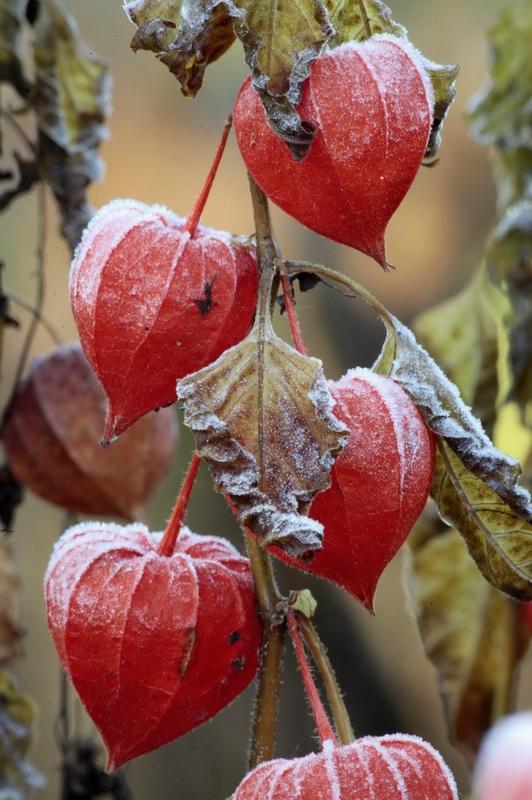 18 octombrie 2011. Imaginile zilei 2044285