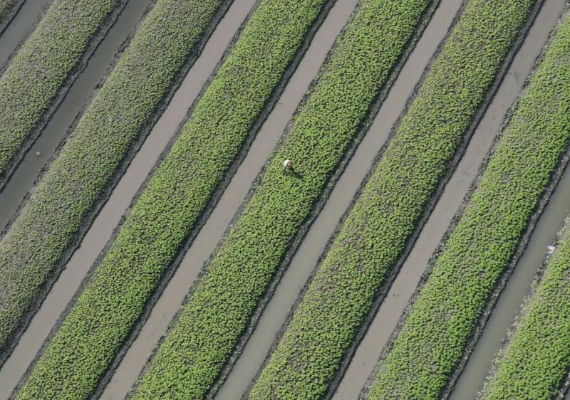 18 octombrie 2011. Imaginile zilei 2044287