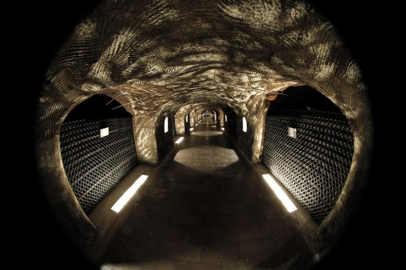 26 octombrie 2011. Imaginile zilei 2165824
