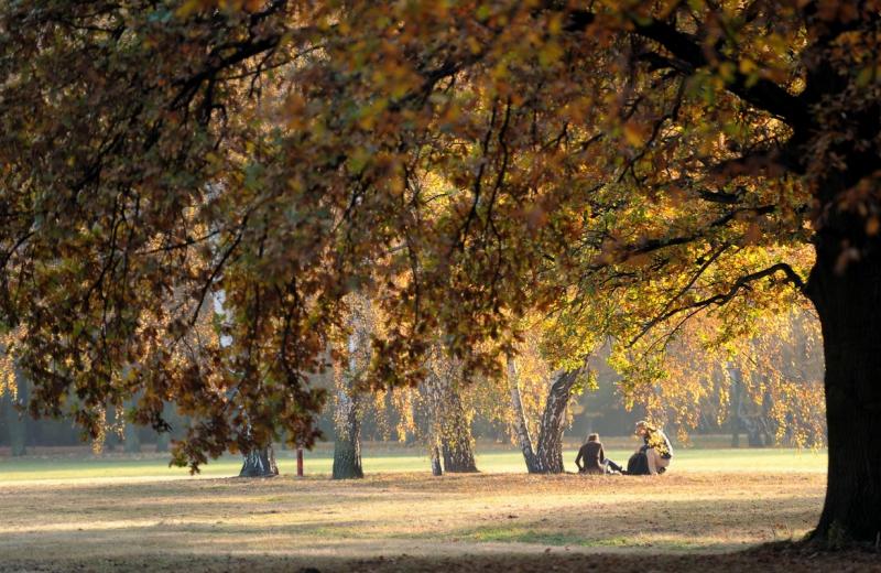 3 noiembrie 2011. Imaginile zilei 2328030