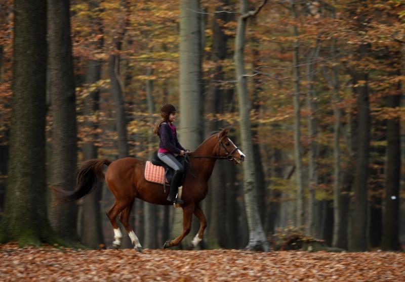 9 noiembrie 2011. Imaginile zilei 2491666