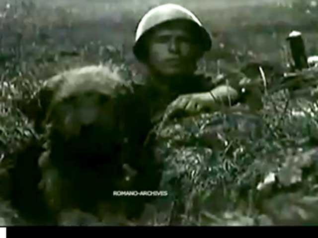 Video: Câini dresaţi de militarii ruşi pentru a detona încărcături explozibile în liniile inamice
