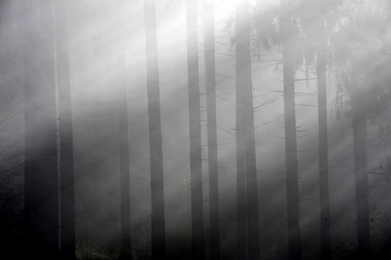 14 noiembrie 2011. Imaginile zilei 2595443