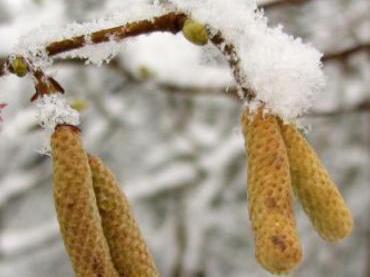 A venit iarna în Maramureş: A nins în localităţile montane, iar temperaturile au scăzut sub zero grade Celsius